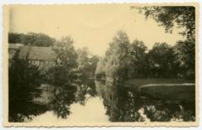 Postkaart met zicht op het kasteeldomein van Wippelgem