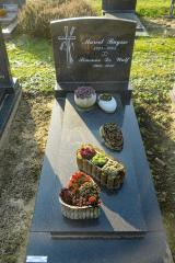 Buysse Marcel