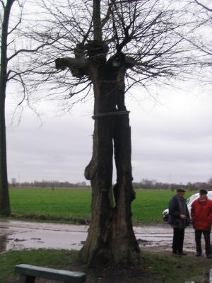 De laatste dag van de Bevende Hazelaar