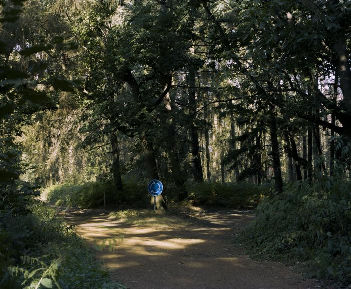 Rondpunt