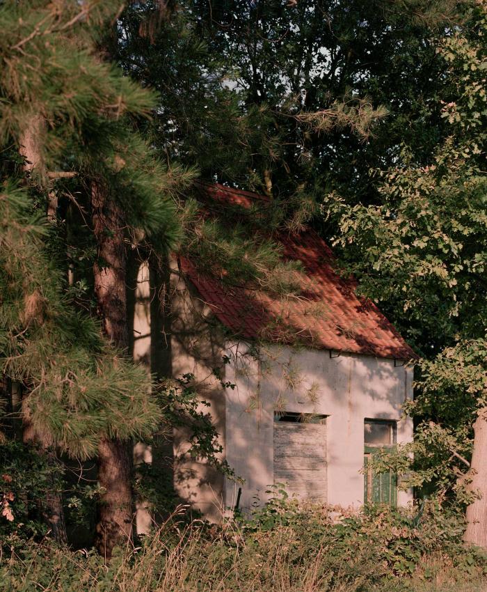 Huis in het bos