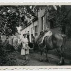 Een ritje op de boerenkar, jaren 1940