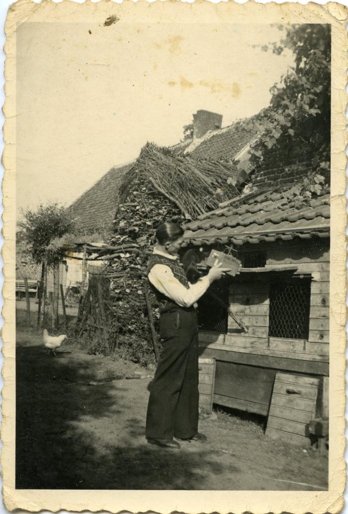 Duivenmelker Wippelgem, ca. 1950