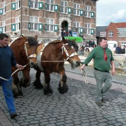 Trekpaarden passeren de revue op de Vette Veemarkt