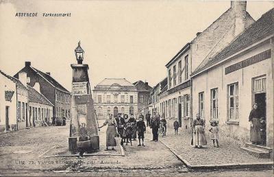 Postkaart Varkensmarkt (Diederikplein) Assenede, ca. 1914