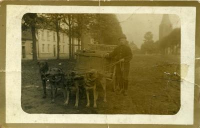 Edmond Criel met hondenkar in Ertvelde, ca. 1910