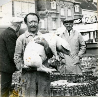 Biggenmarkt Eeklo in 1967