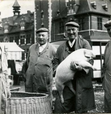 Varkenshandelaars op de biggenmarkt van Eeklo