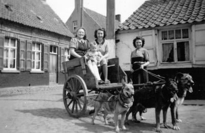Transport van toen: hondenkar