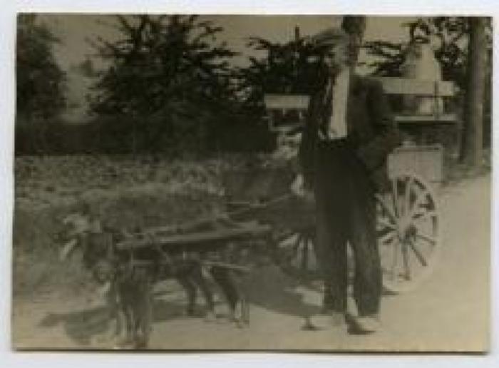 Maurits Declerck op ronde met de hondenkar, Ursel