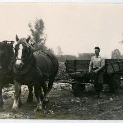 Boeren Jeugdbond, Evergem, 1952