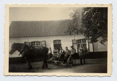 Klaar voor de oogst, Zomergem, ca. 1950