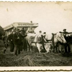 Familie Vermeulen bij slachtrijpe zeug, 1926
