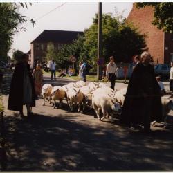 Herder met schapen in de processie van Rieme, 2003(I)