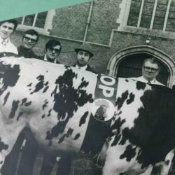 Winnende stier, Zomergem, 1960-1970