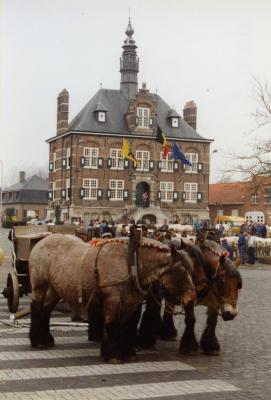 Trekpaarden op de Vette Veemarkt, Zomergem, 1990-2000