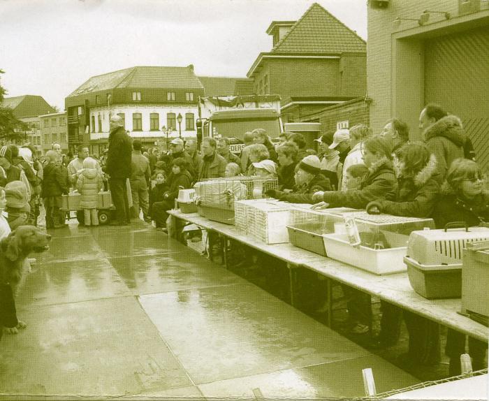 Kinderen laten hun huisdieren keuren op Vette Veemarkt, Zomergem, 1995-2005