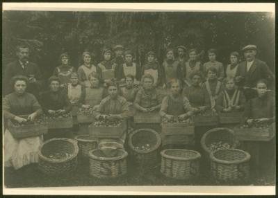 Aardappelschilsters, Kaprijke, 1914-1918