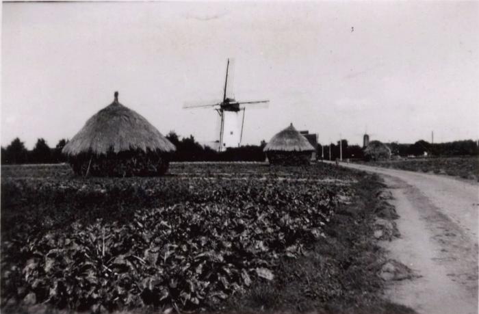 Witte Molen, Knesselare, 1938