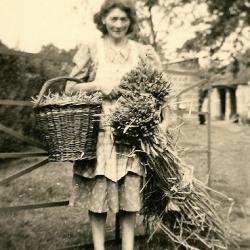 Boerenleven in 1950