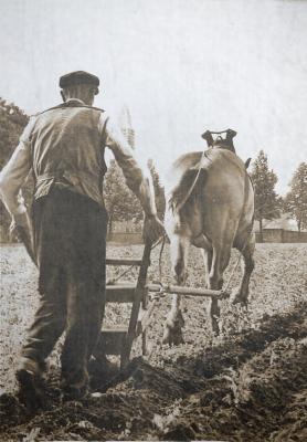 Foto van boer die ploegt met paard