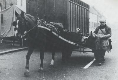 Foto van Petrus Staelens met kar en paard