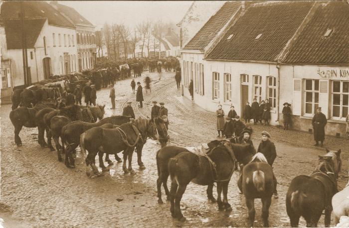 Foto van een paardenkeuring