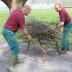 Binnen van takkenbos op Huysmanhoeve