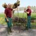 Binnen van takkenbos op Huysmanhoeve