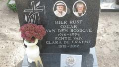 Van Den Bossche Oscar